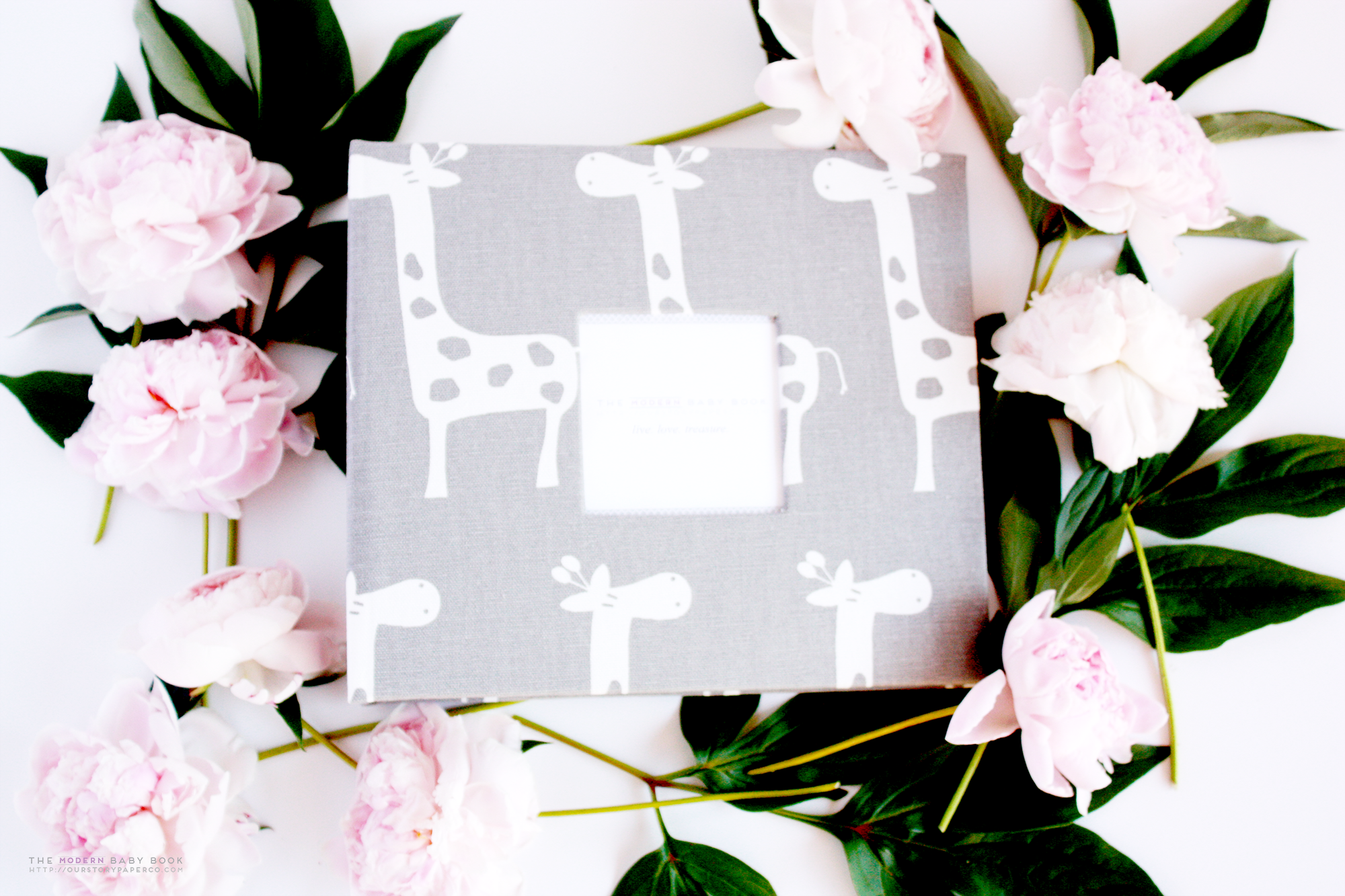 Grey Giraffe Modern Baby Book - Our Story Paper Co.