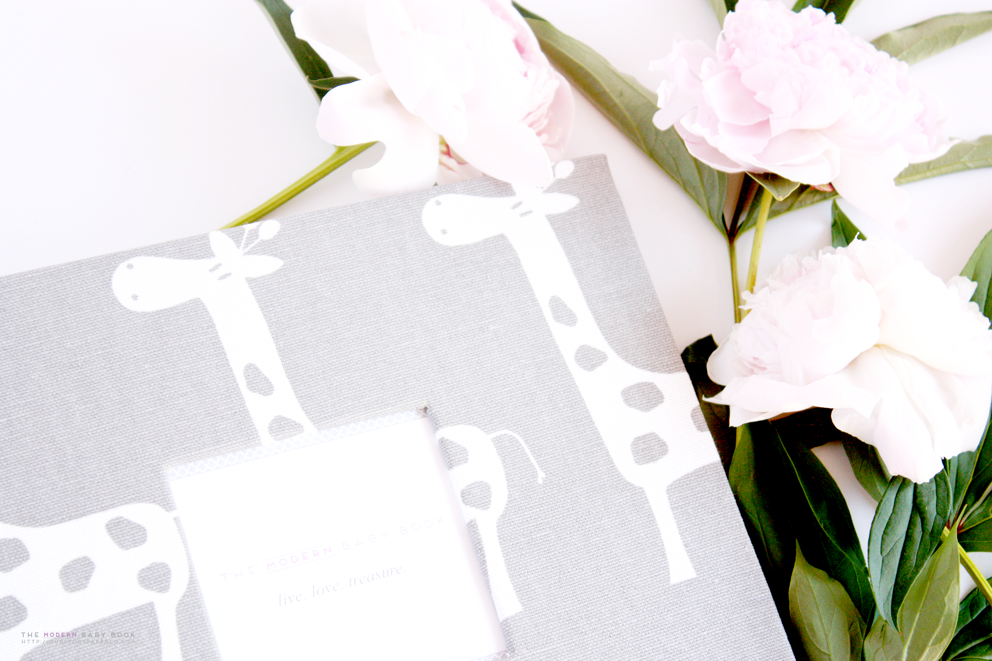 Grey Giraffe Modern Baby Book - Our Story Paper Co.