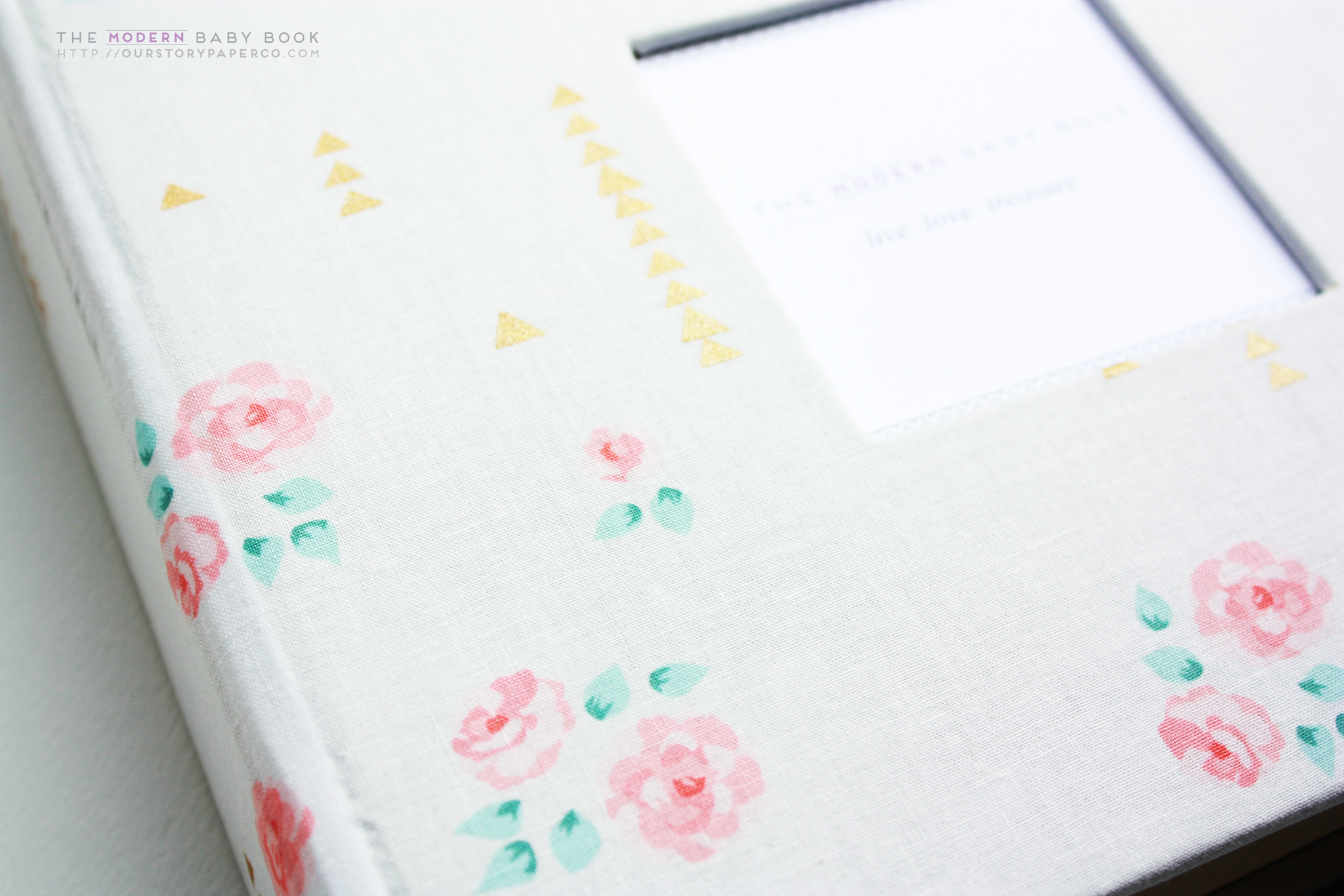 Pale Rose with Gold Modern Baby Book - Our Story Paper Co.
