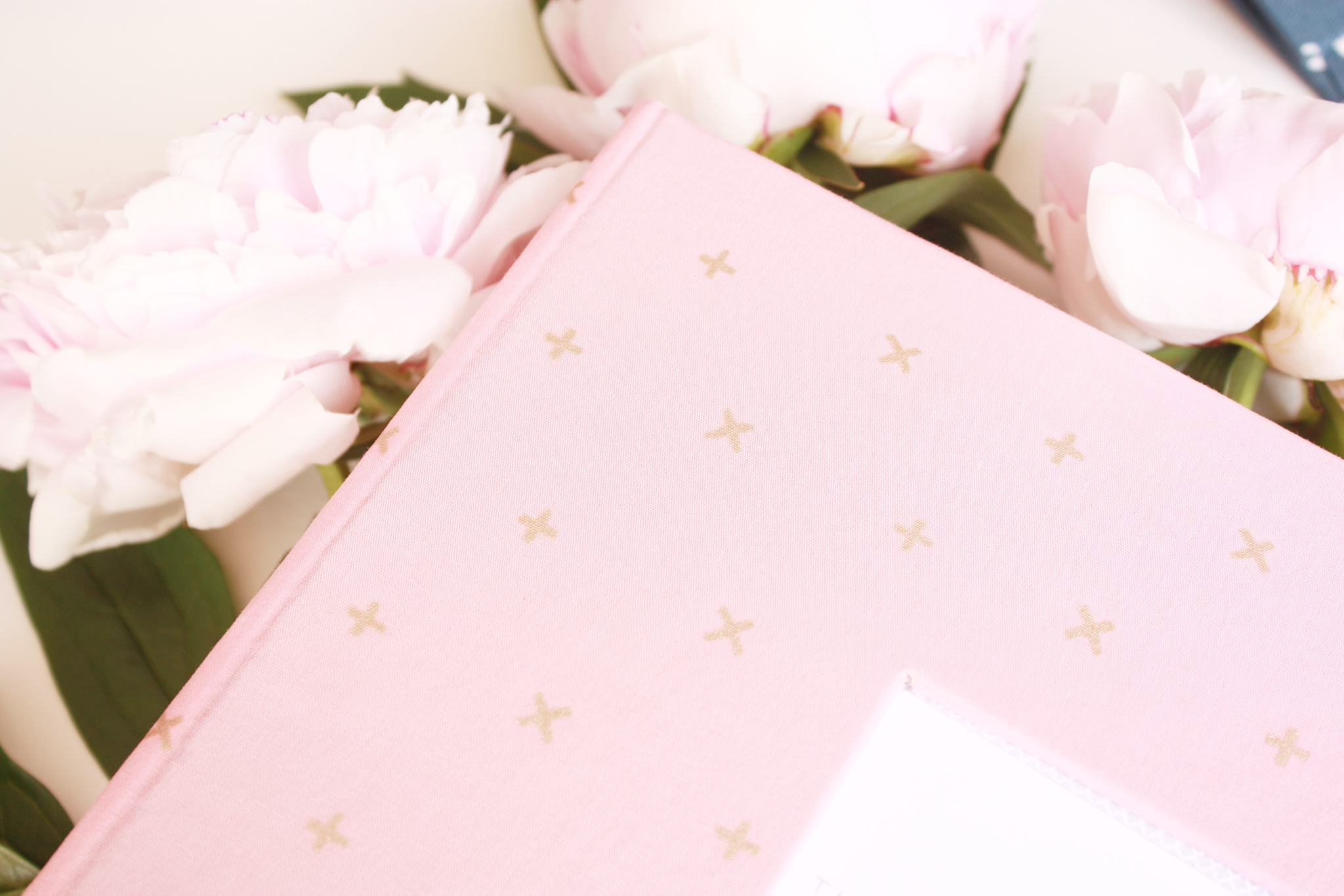 Rose Pink with Gold Criss Cross Modern Baby Book - Our Story Paper Co.