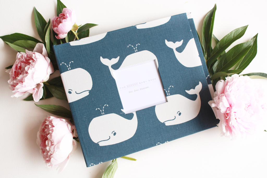 Navy Whale Modern Baby Book - Our Story Paper Co.